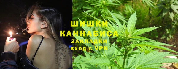 СК Вязьма
