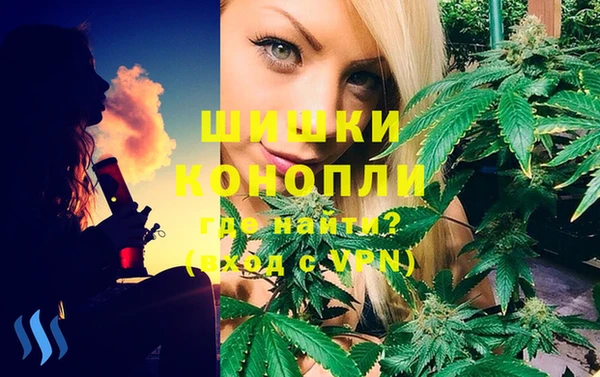 СК Вязьма