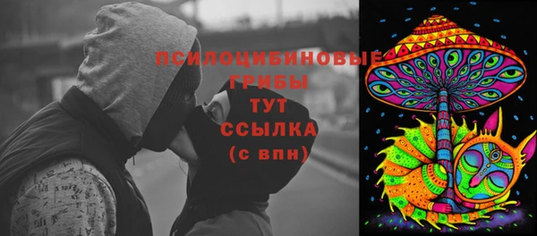 СК Вязьма